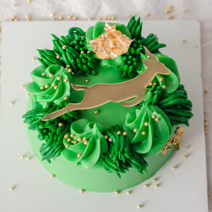 SPRINGBOK THEMED BENTO CAKE