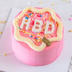 HAPPY BIRTHDAY (HBD) MINI BENTO CAKE