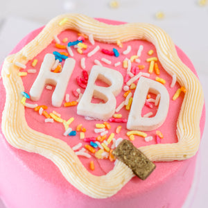 HAPPY BIRTHDAY (HBD) MINI BENTO CAKE