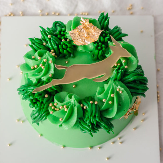 SPRINGBOK THEMED BENTO CAKE