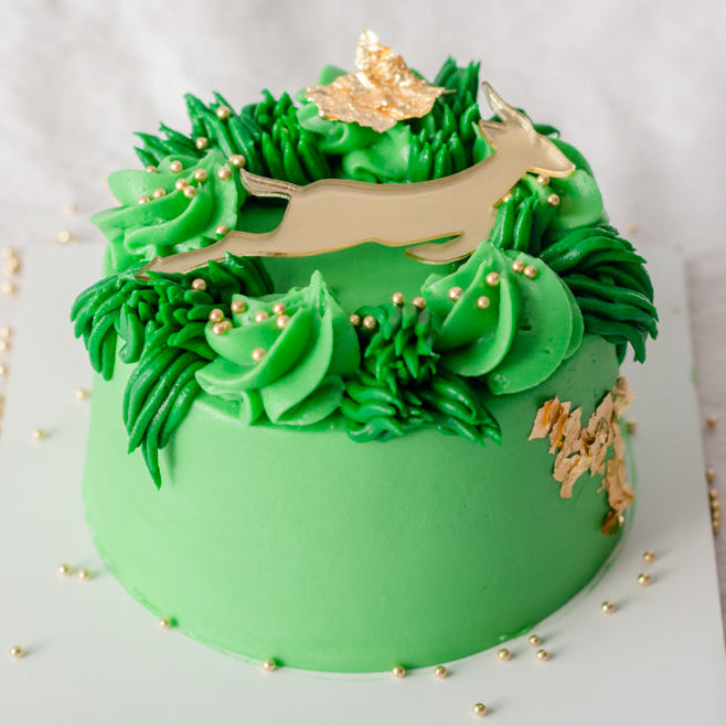 SPRINGBOK THEMED BENTO CAKE