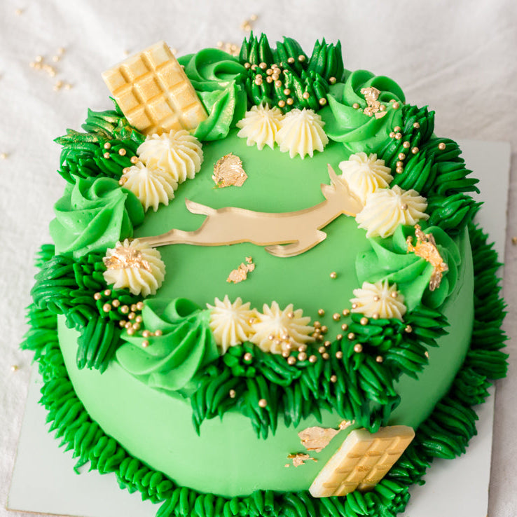 Springbok Themed Confectionery Cake