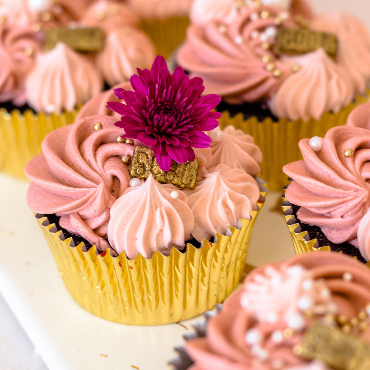Small Dirty pink Moist chocolate Cupcakes