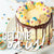 "SOET CELEBRATION" RAINBOW SPRINKLE CAKE (2)